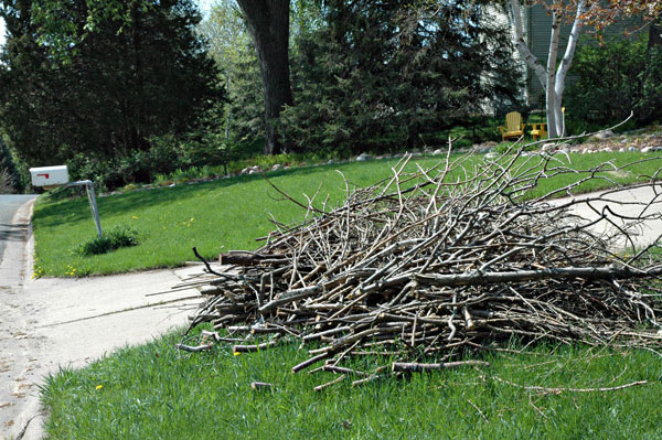 FINAL CITY COLLECTION OF LEAVES AND YARD WASTE—BRUSH COLLECTION CONTINUES