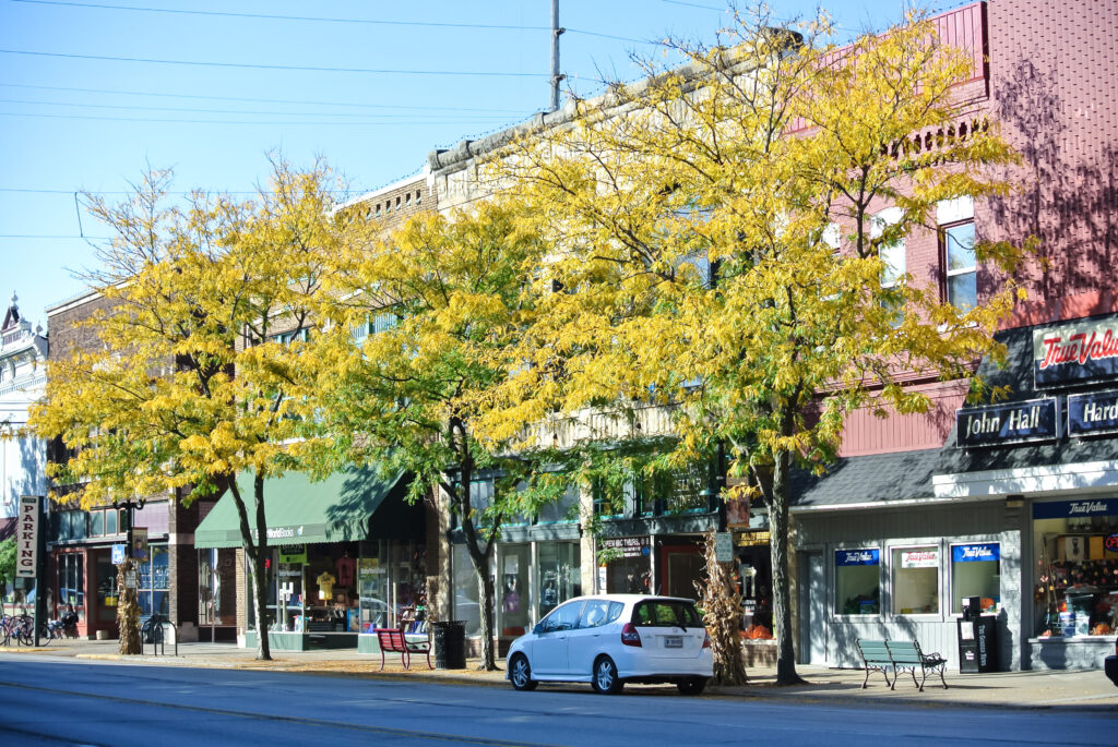 Street, yellow trees, storefronts along Main Street.